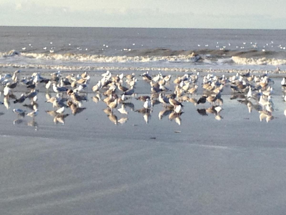 Strand En Meer Katwijk aan Zee Ngoại thất bức ảnh